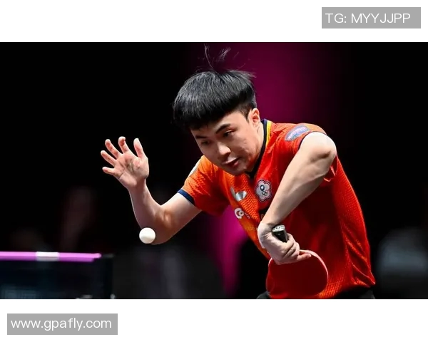 乒乓球多哈冠军赛精彩回顾与精彩瞬间分析